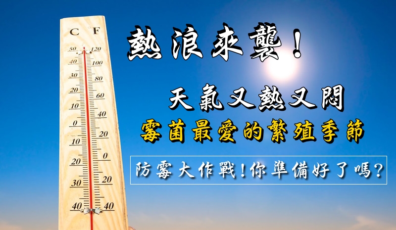 電子防潮箱2018夏日防霉限時優惠