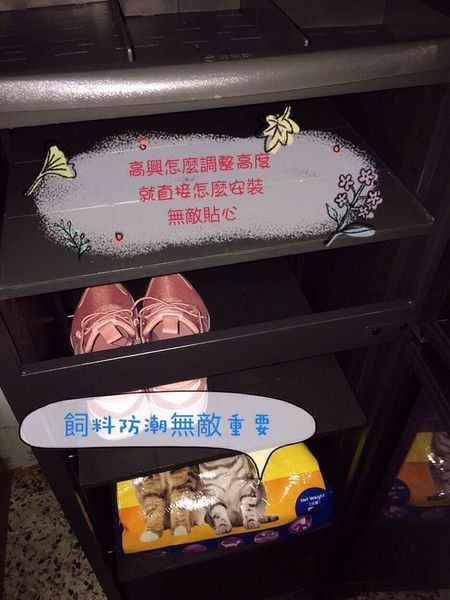 毛小孩不吃飼料不是不乖,是因為飼料受潮走味了你還看不出來 寵物飼料防潮超級重要