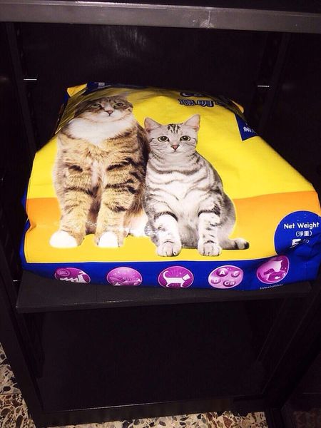 寵物飼料防潮箱 寵物飼料電子防潮箱